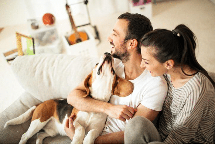 Tips To Move Into A New House With A Dog!!!