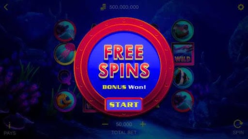 How To Activate Your Free Spin Bonus?