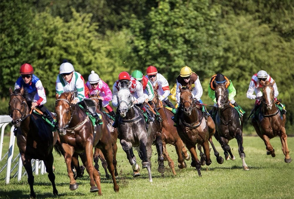 The Biggest Races Of The Galway Summer Festival