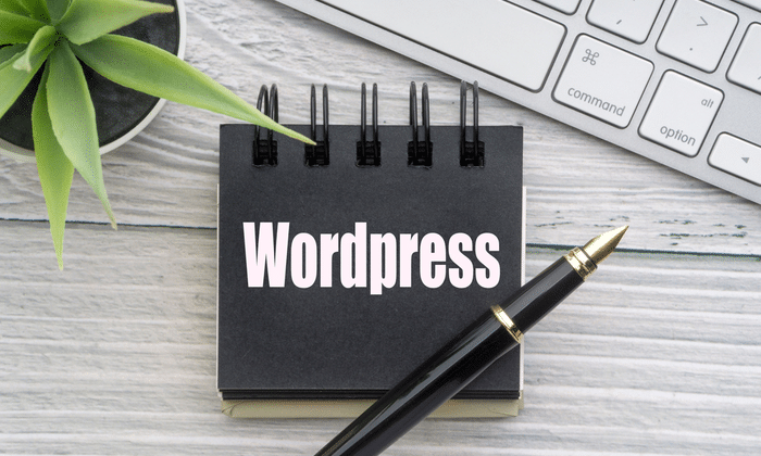 Things to Pay Attention to When Starting Your WordPress Blog