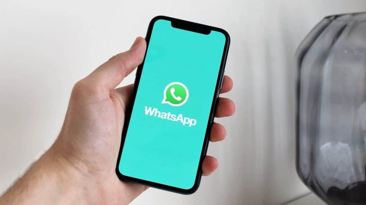 How To Recover Deleted Photos From WhatsApp iPhone/Android