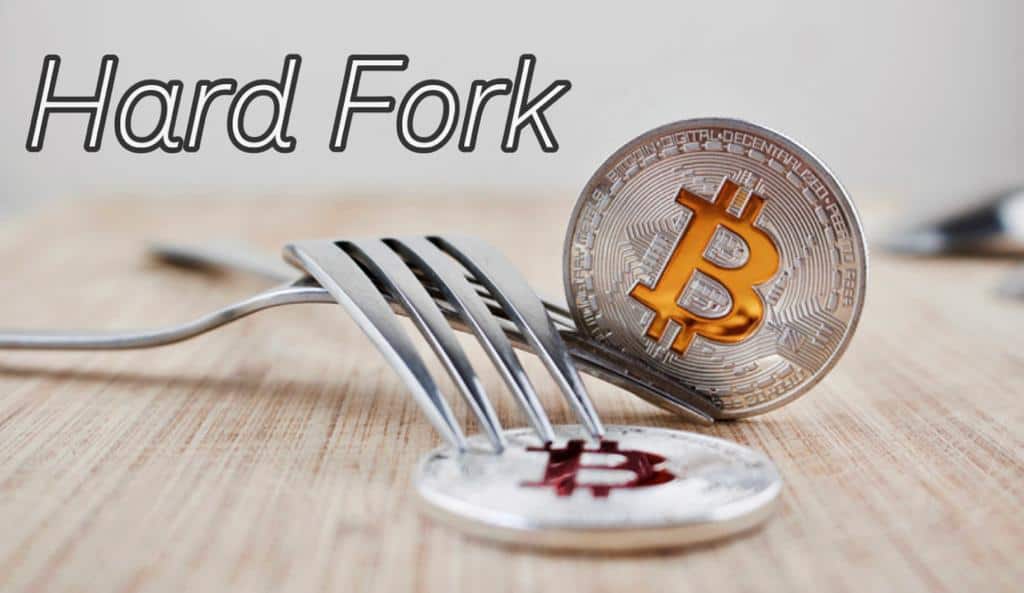 Detailed Elaboration on Hard forks