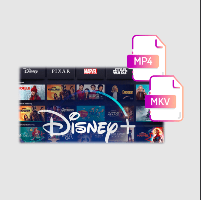Pazu Disney+ Video Downloader Review
