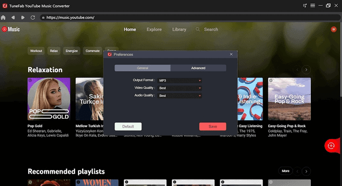 Output Format Setting YouTube Music Converter