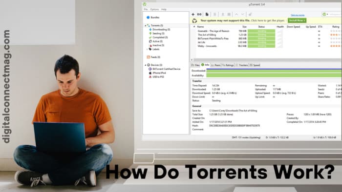 How Do Torrents Works