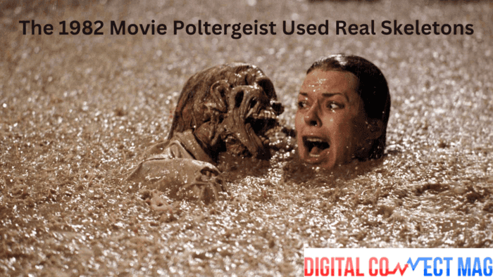 The 1982 Movie Poltergeist Used Real Skeletons